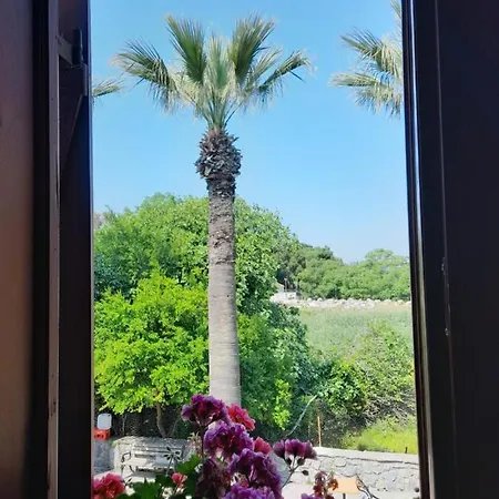 Bed & Breakfast Casa Callinos Selçuk