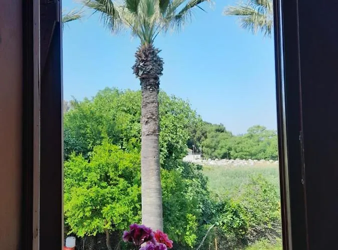 Nocleg ze śniadaniem Casa Callinos Selçuk