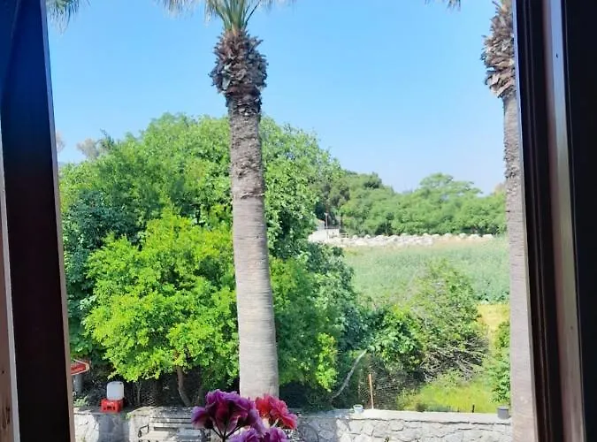 Casa Callinos Bed & Breakfast Selçuk