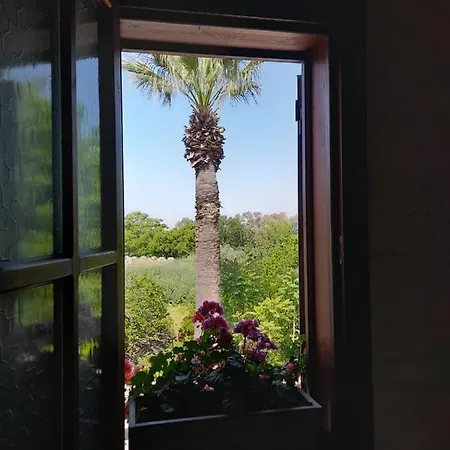 Casa Kallinos