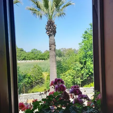 住宿加早餐酒店 Casa Callinos *