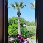 Alojamento de Acomodação e Pequeno-almoço Casa Callinos Selçuk
